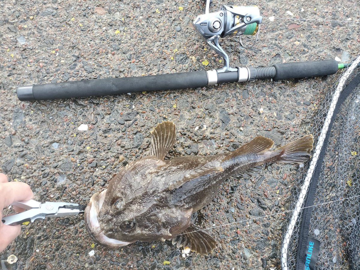 ともすずか tweet media