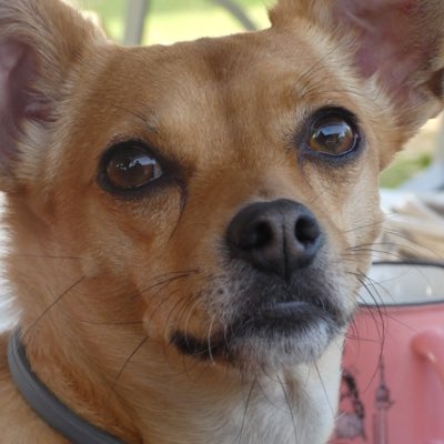 Karotides's tweet photo. #NuevaFotoDePerfil https://t.co/a7RZDjFRBz