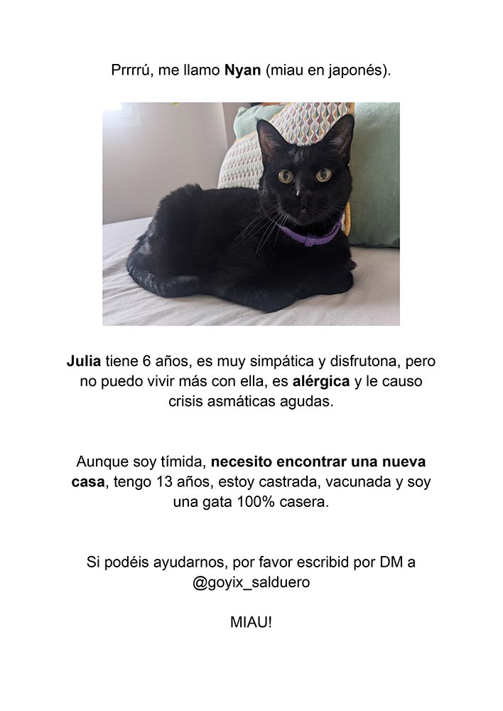 Goyix ⚜️ (@goyix_salduero) on Twitter photo 