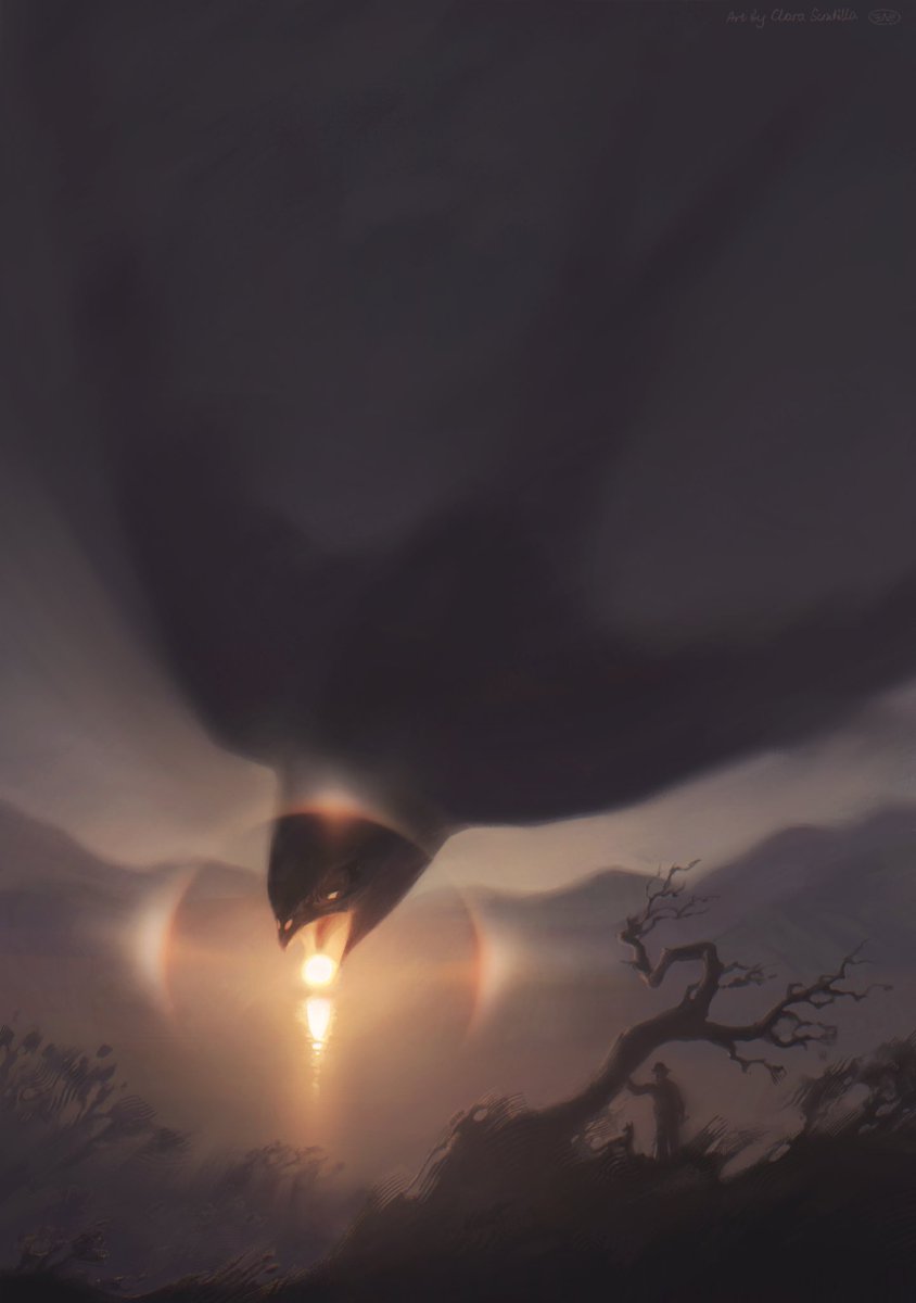 Swallowed by the fog