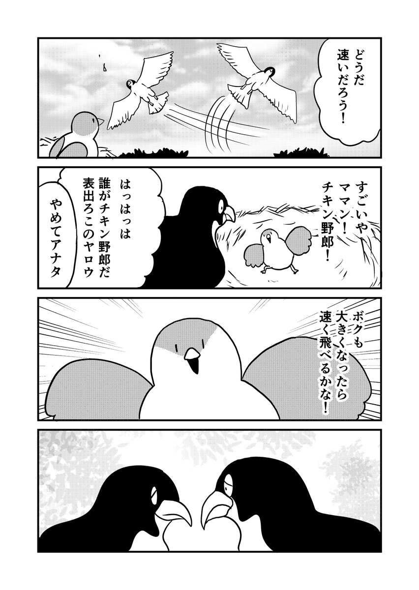 2/3 