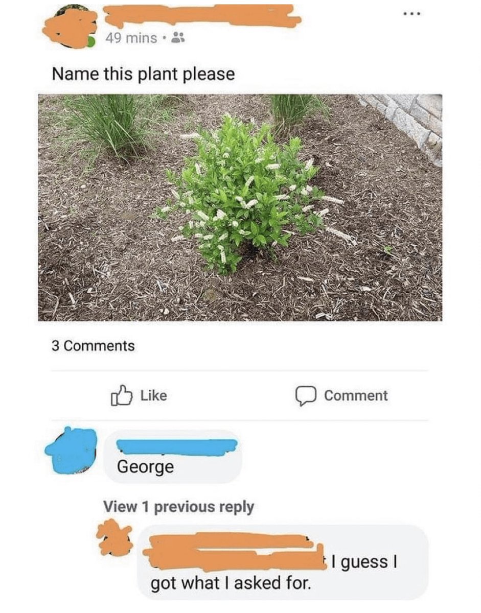 boyaping's tweet image. Hahahahaha