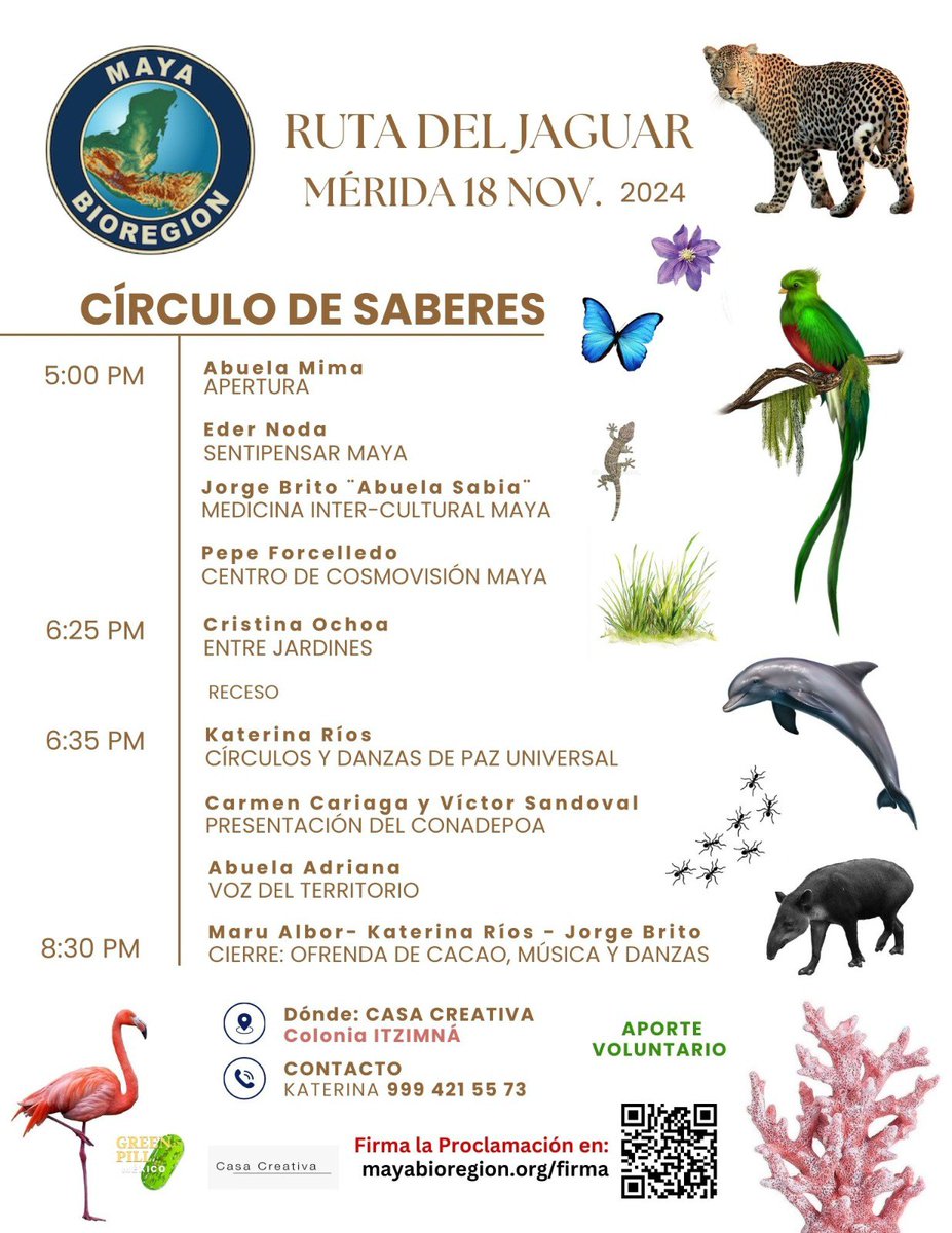 GreenPill México ✨💚 tweet media