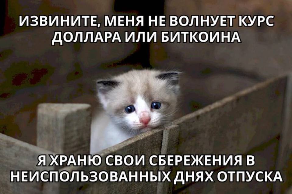 D0CT0EBCKNN's tweet photo. яяяяяяя https://t.co/ga7FRDeVkq
