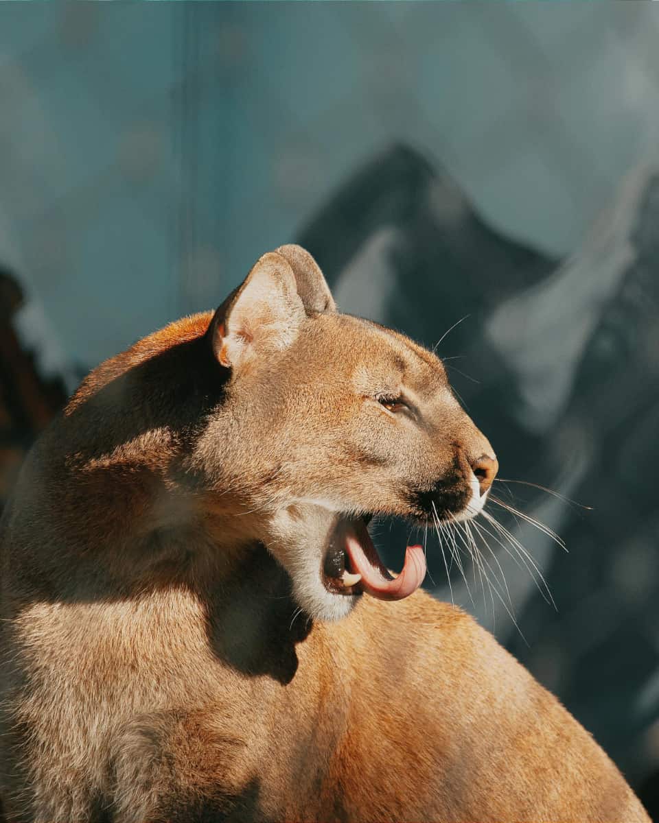 ‘See It Before It’s Too Late’: How the #TravelIndustry Uses #Climate #FOMO to Market Far-Flung Destinations bit.ly/41fKJRX