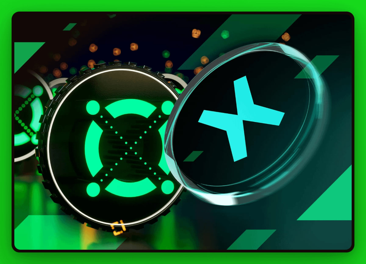 BH Network 🫡 tweet media