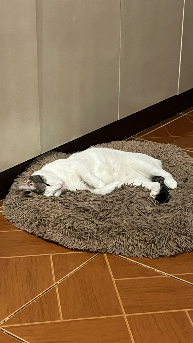 dumbdimsum's tweet photo. mom want to stop working, 
   bcause she want holidaye 
       yap, yap, yap

but im dont realy care https://t.co/s9iEvxZNyW