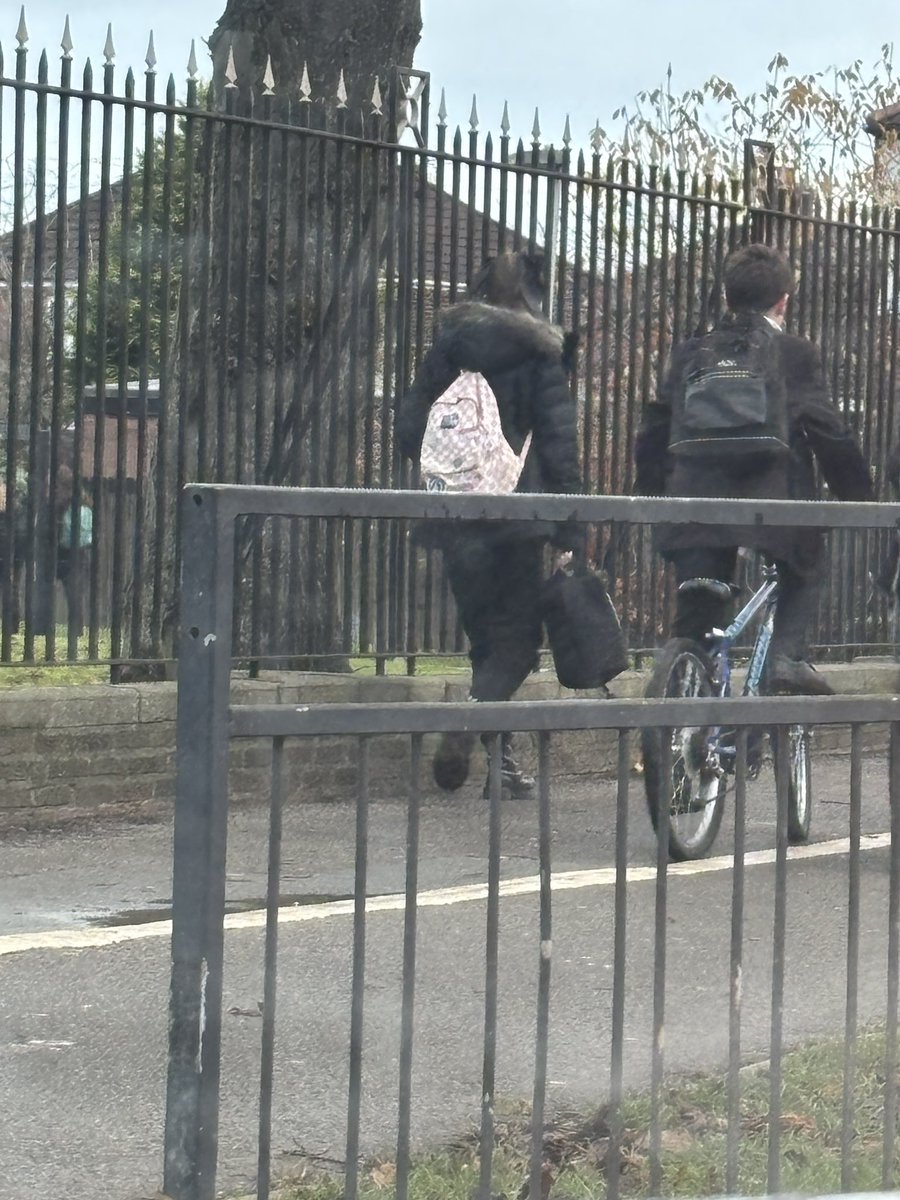 Sally Mckee tweet media