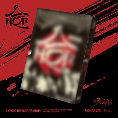 straykids SKZHOP 合　タワレコ当選パネル　全員　オール　集合 タワーレコード横浜ビブレ店 on X: 