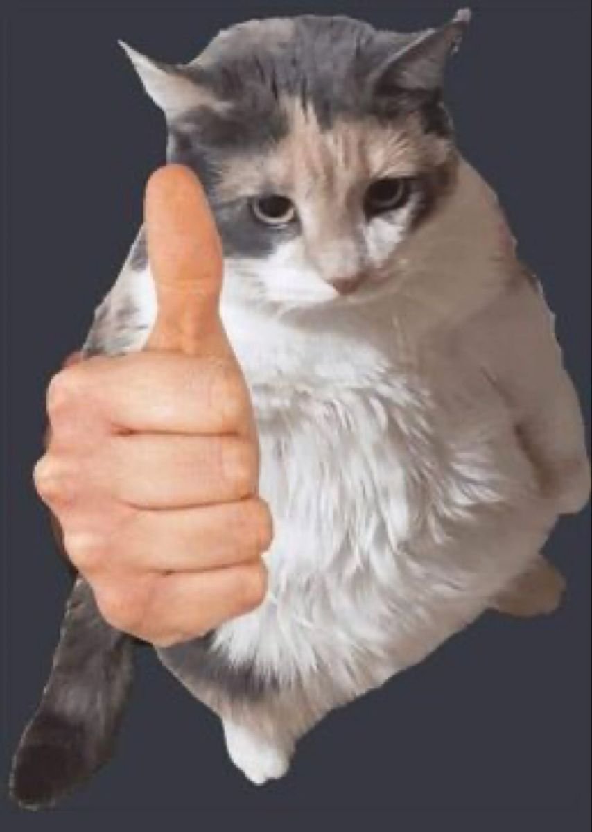 Halflife_DSM's tweet photo. Got nothing to share, just poking my head in to let people know the mod's still alive, just slow as hell. https://t.co/sYDf7im9K2