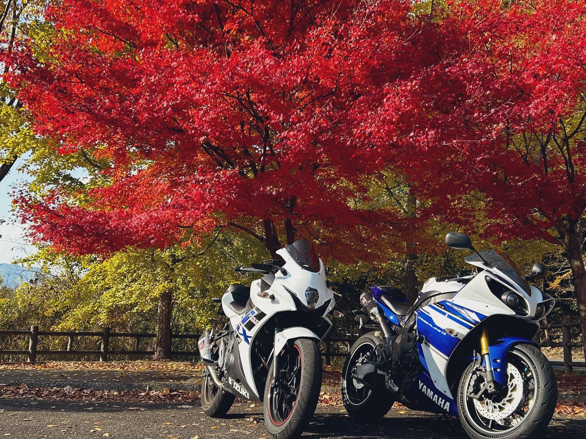 tk_gspk's tweet image. 耶馬溪つー