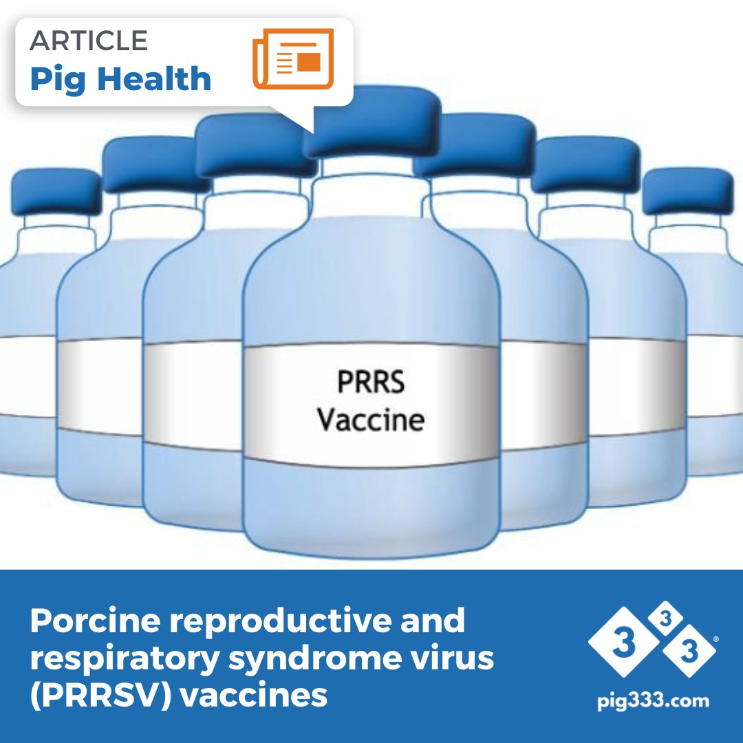 This article describes the main characteristics of commercial vaccines to combat PRRS. 🦠💉🐖

🔗 pig333.com/articles/prrs-…

#Pig333 #PRRS #SwineHealth #Vaccines #AnimalHealth #PigFarming