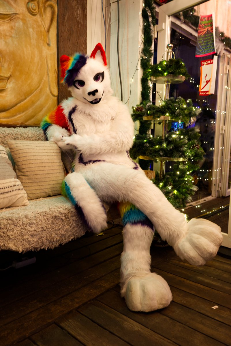 Sasa_Creations's tweet photo. Greetings from Lübecker Furdance two weeks ago.🤗

📍 @hansefurs Lübecker Furdance
📷 Reik

@Sasa_Creations @Lumi_Flecktupf @VWusky @blizzardthewoof @CharlieFluffPaw @mikan_popsicle @LostAjeet 

feel free to tag the others🤙 https://t.co/nHyJdqdecb