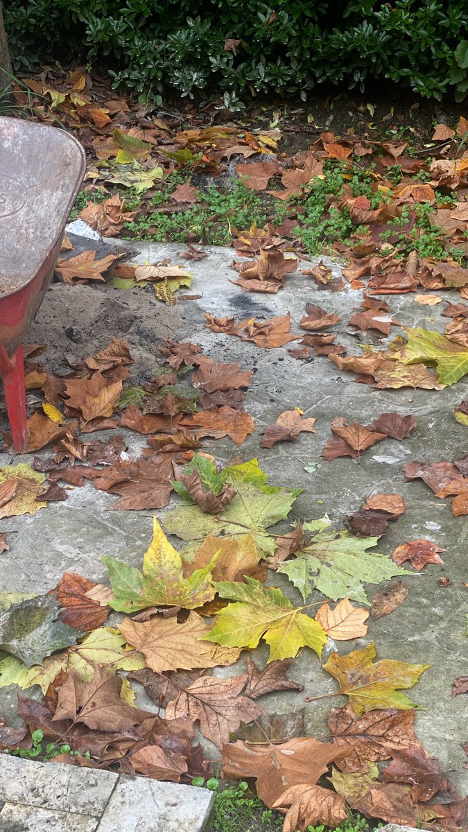 لم يدلّني عليكَ
الطريقُ
ولا النداءاتُ المحبّة
ولا باقي ذكريات الوجد؛
بل هي الألفةُ،
وحدها،
من كانت معي
على طولِ المسير
إليك.