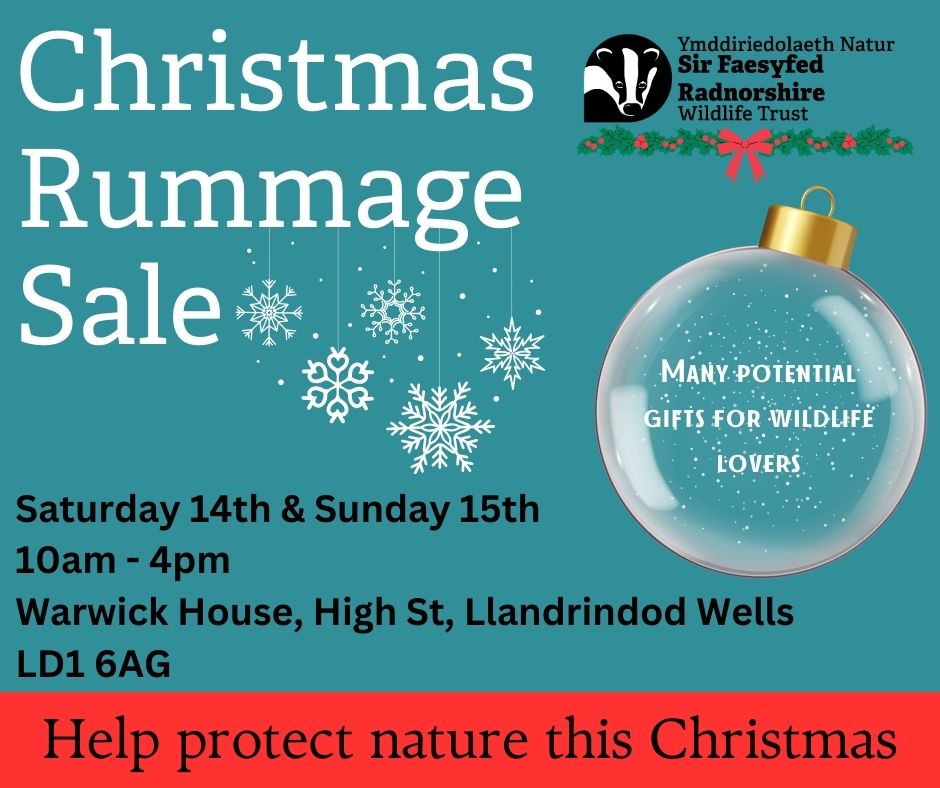 Radnorshire Wildlife Trust (@rwtwales) on Twitter photo CHRISTMAS RUMMAGE SALE!!❄️
📆 14th and 15th of December
We are selling a range of items including books, bird seed and mugs from our shop before we move offices so come and take a look at what's on offer!
If you have any questions please contact info@rwtwales.org. CHRISTMAS RUMMAGE SALE!!❄️
📆 14th and 15th of December
We are selling a range of items including books, bird seed and mugs from our shop before we move offices so come and take a look at what's on offer!
If you have any questions please contact info@rwtwales.org.