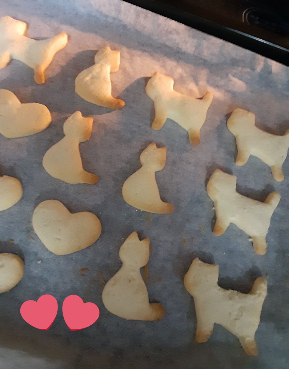 𖥔りぃむ🐿️´- (@liri33r) / Posts / X