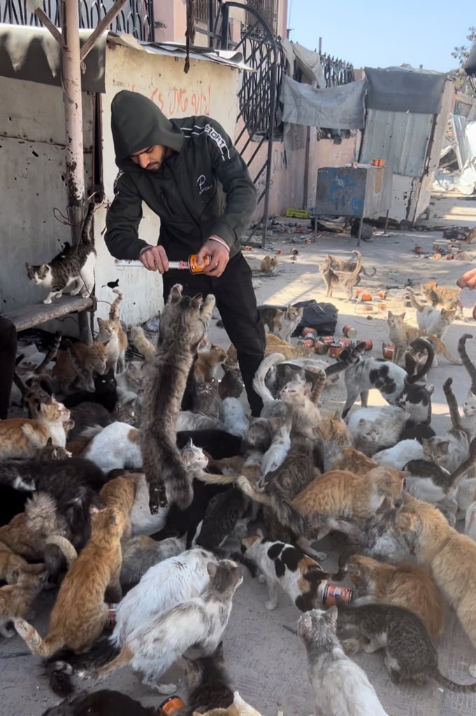 I'm still alive 🇵🇸!
Remember my face well, I might be next...
We are not numbers!