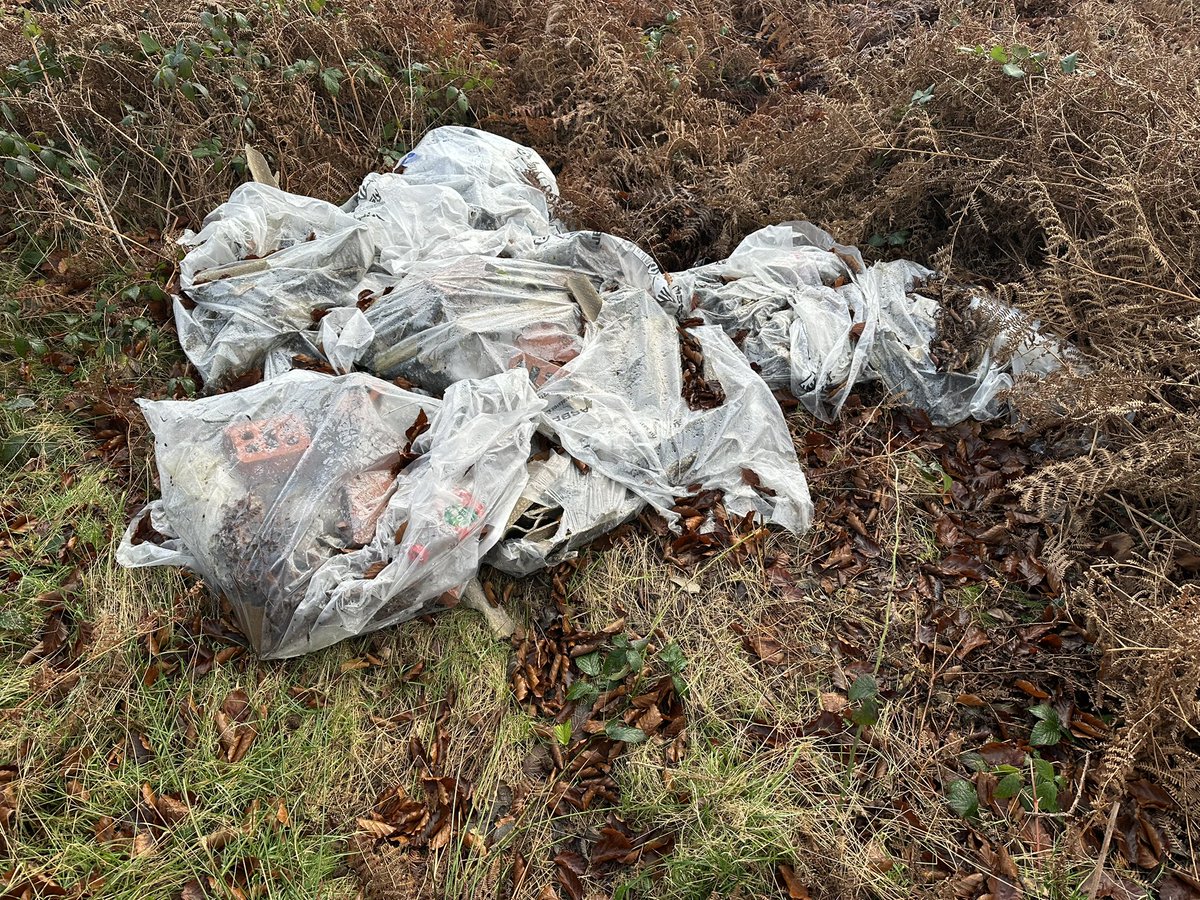 Myles Mylo Thomas tweet media