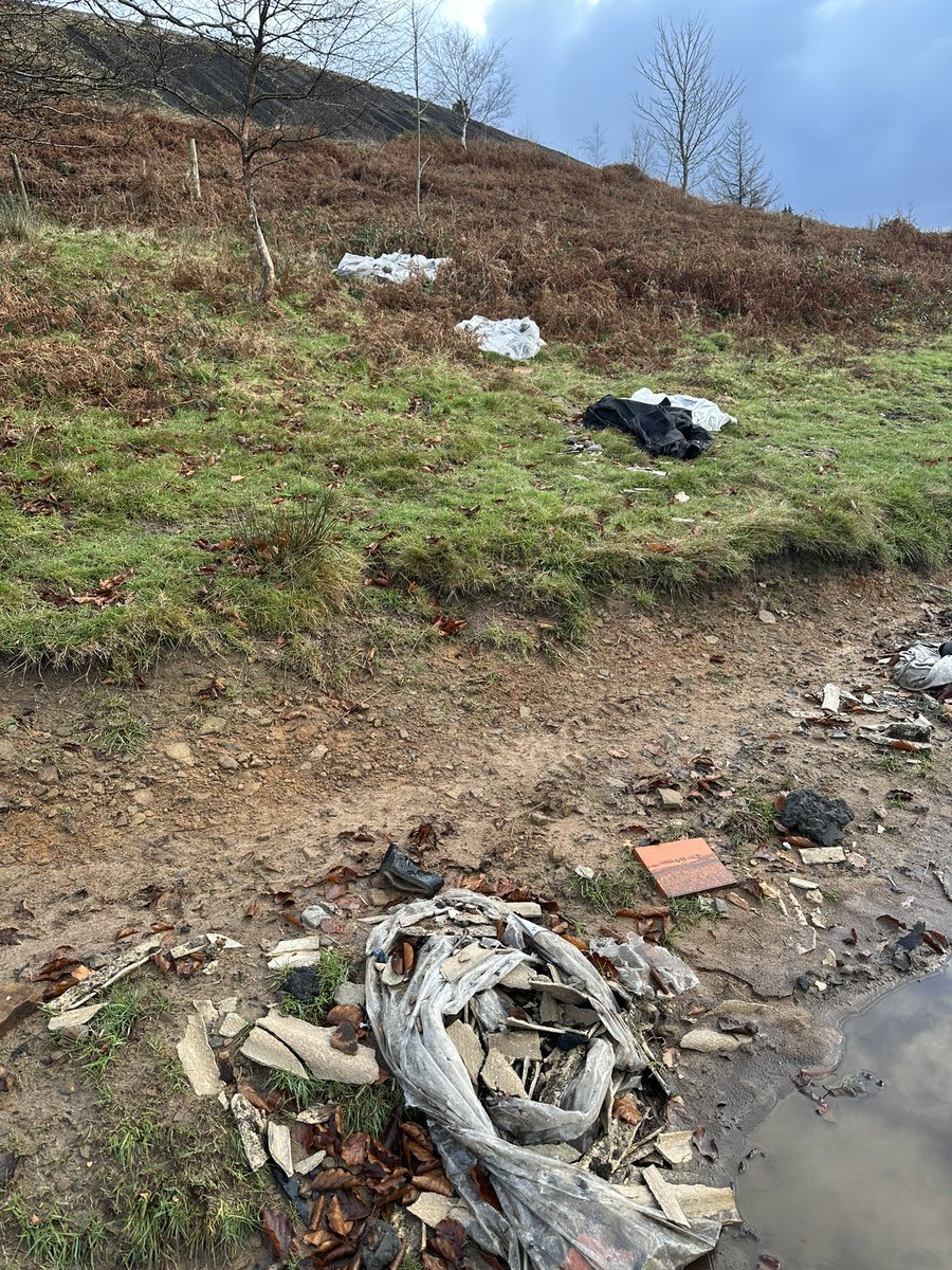 Myles Mylo Thomas tweet media