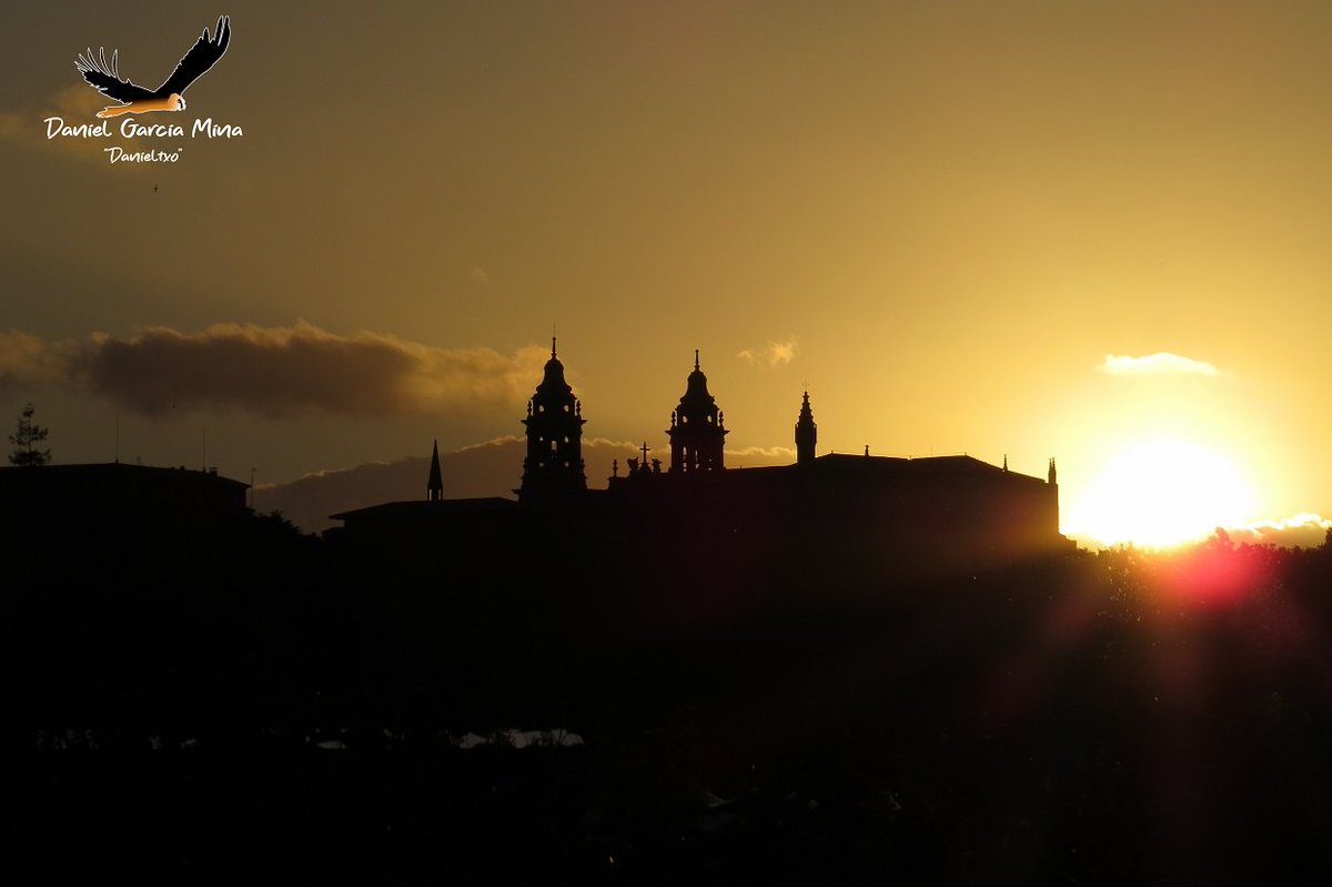 Hoy es el día de mi tierra... Feliz #diadenavarra #Navarra