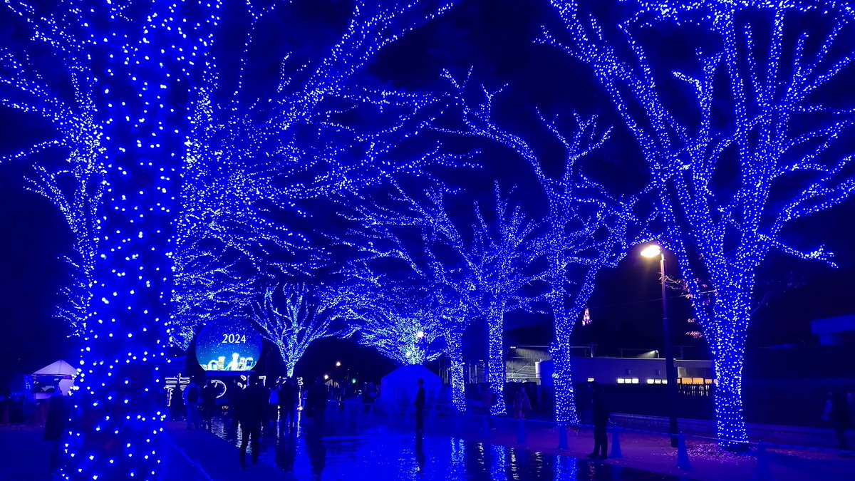 aiko_9's tweet photo. 青の洞窟
まだ全ては点灯してないけど、
キレイだった‼️ https://t.co/pfgkiEXtpo