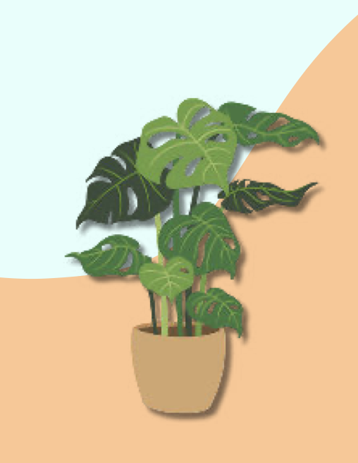 HambachEva's tweet image. Overmorgen is het de #IDV2024: verspreid het #campagnebeeld en het #dankwoord: vlaanderenvrijwilligt.be/wp-content/upl…