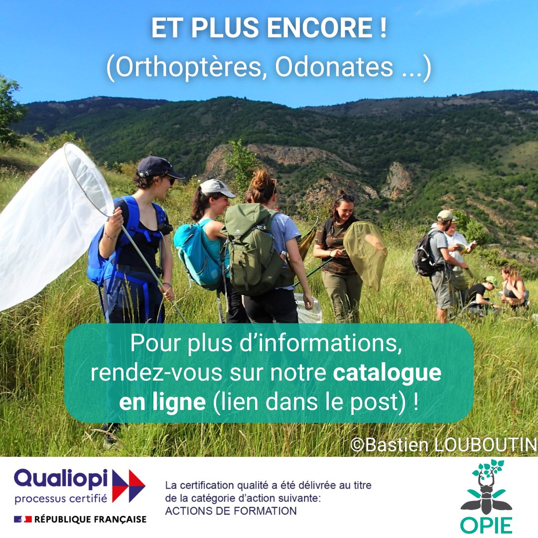 📢Les inscriptions pour les formations professionnelles 2025 sont ouvertes !
👉Le catalogue des formations 2025 est disponible sur le lien suivant : insectes.org/content/23-lis…
Vous y trouverez tous les détails des formations ainsi que les formulaires d'inscription ! ✏️
