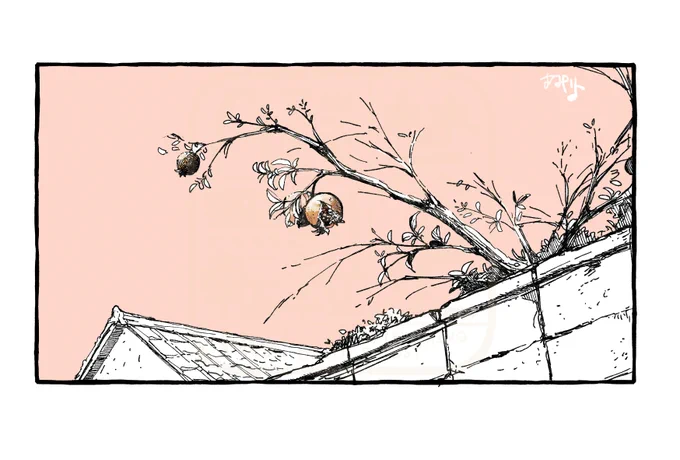 日記。柘榴の実が割れてたよ 