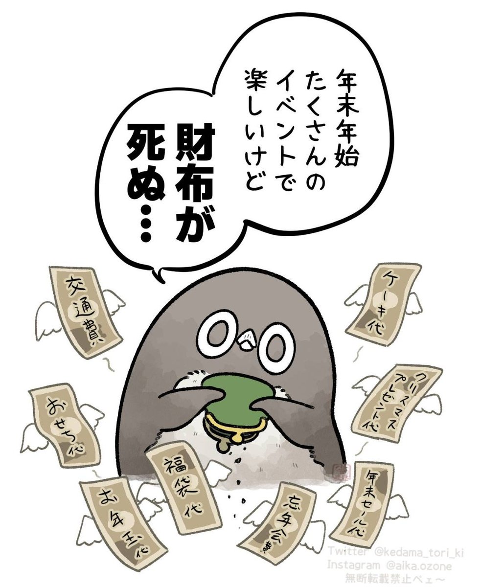 年末年始に散財するアデリーペンギン
#虚無かわいいアデリーペンギン 