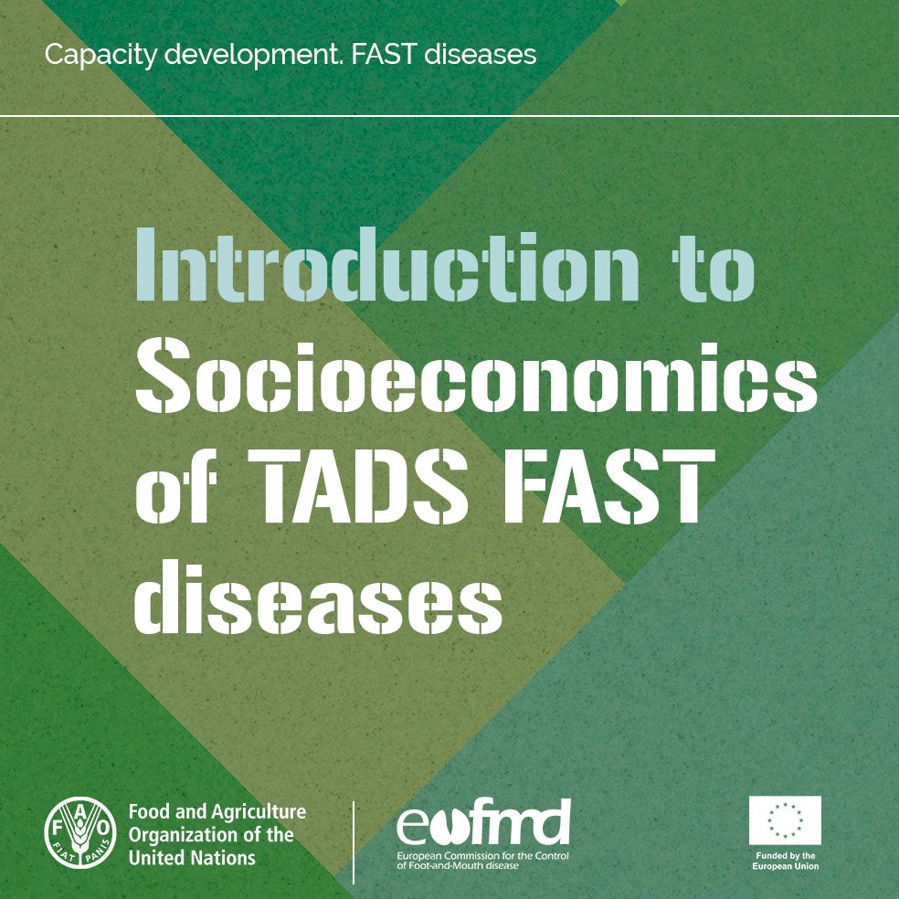#DYK you can measure the impact of livestock disease through direct and indirect factors?

Take our new EuFMD open-access course on the socioeconomics of FAST diseases to understand how these factors are taken into consideration
 ⤵️
bit.ly/4dRcAdW