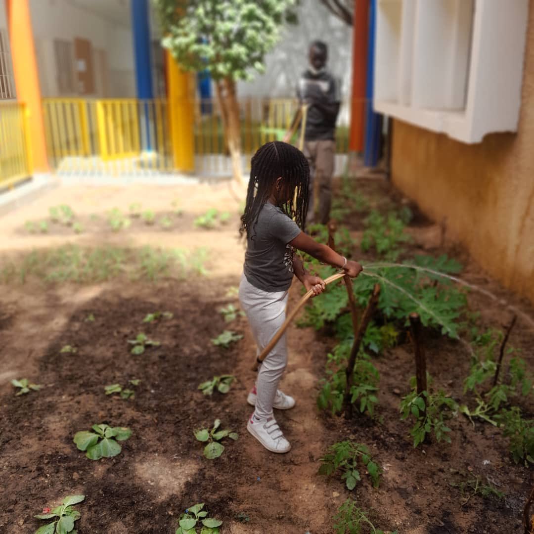 CSIgroup_sn's tweet photo. Le campus EAB Corniche Ouest s'est doté d'un potager pédagogique. Jardiner, c'est aussi une façon de découvrir et d'apprendre. @aefeinfo @AefeIen https://t.co/gm0G9XQc0w