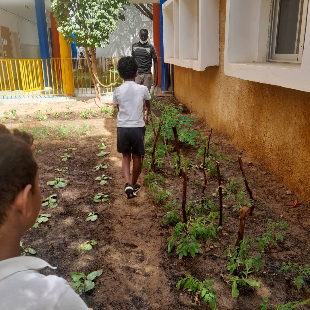 CSIgroup_sn's tweet photo. Le campus EAB Corniche Ouest s'est doté d'un potager pédagogique. Jardiner, c'est aussi une façon de découvrir et d'apprendre. @aefeinfo @AefeIen https://t.co/gm0G9XQc0w
