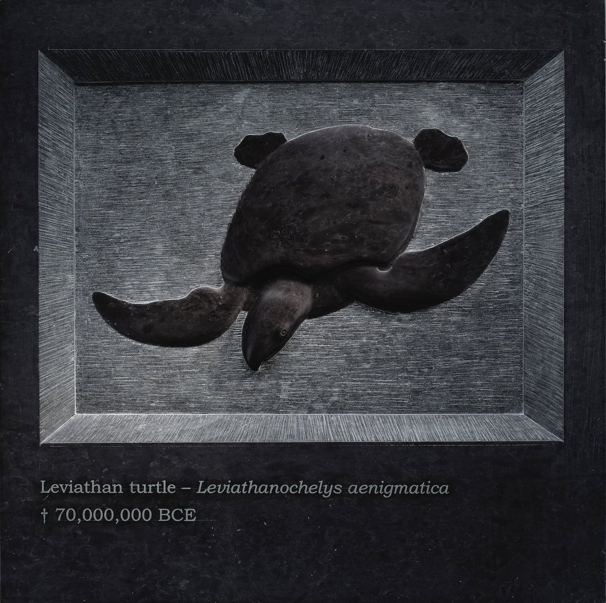 OliverSearsGallery tweet media