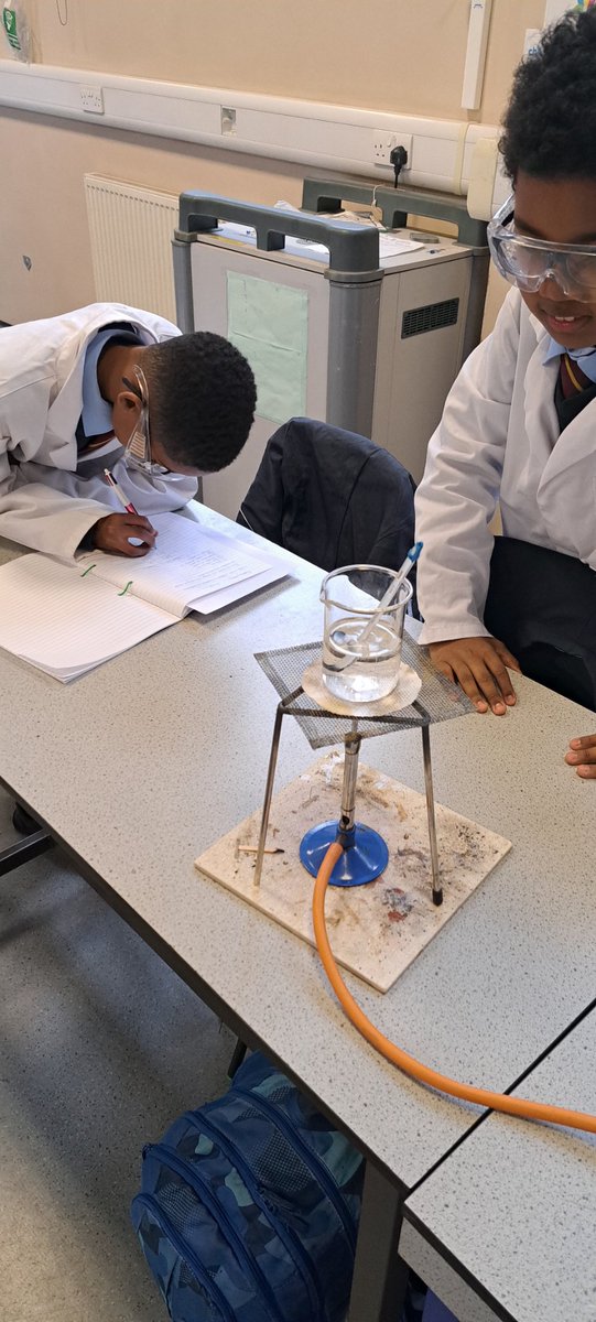 MissHarris tweet media