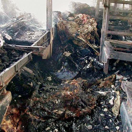 आंखे खोलकर देख लो सेक्युलर हिंदुओं, यह गोधरा कांड में साबरमती एक्सप्रेस के S6 के डिब्बे का रियल फोटो है ...

कभी सोचना जरूर, अगर ये फोटो ही इतना भयावह है, तो मंजर कितना भयावह रहा होगा उन लोगो के लिए जिन लोगो ने अक्चुयली फेस किया था।