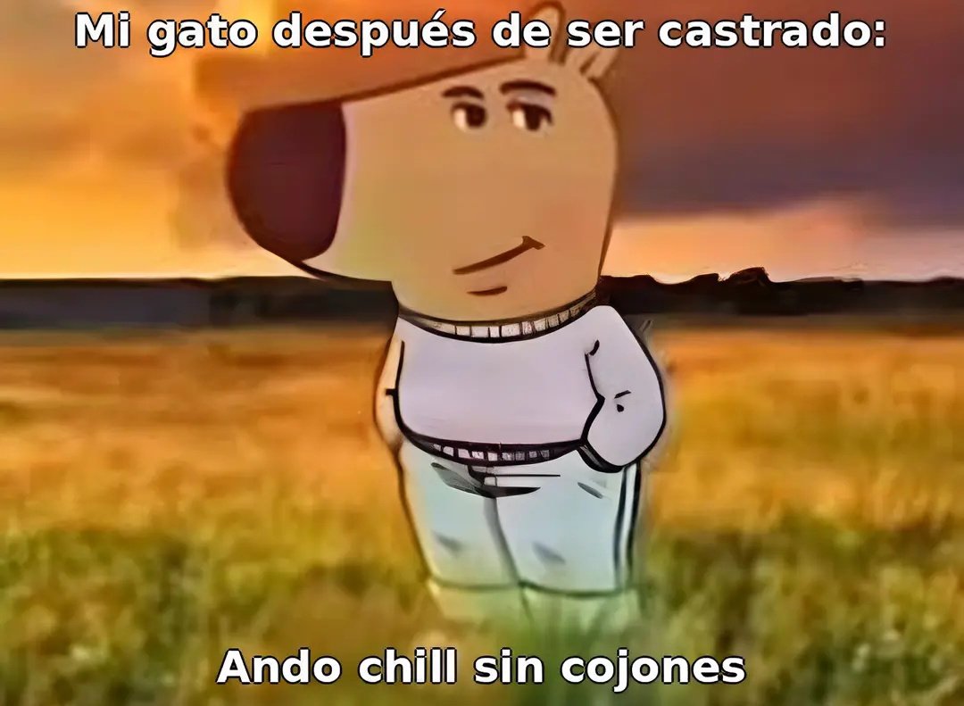Chill sin cojones 😂, image size:1080x791