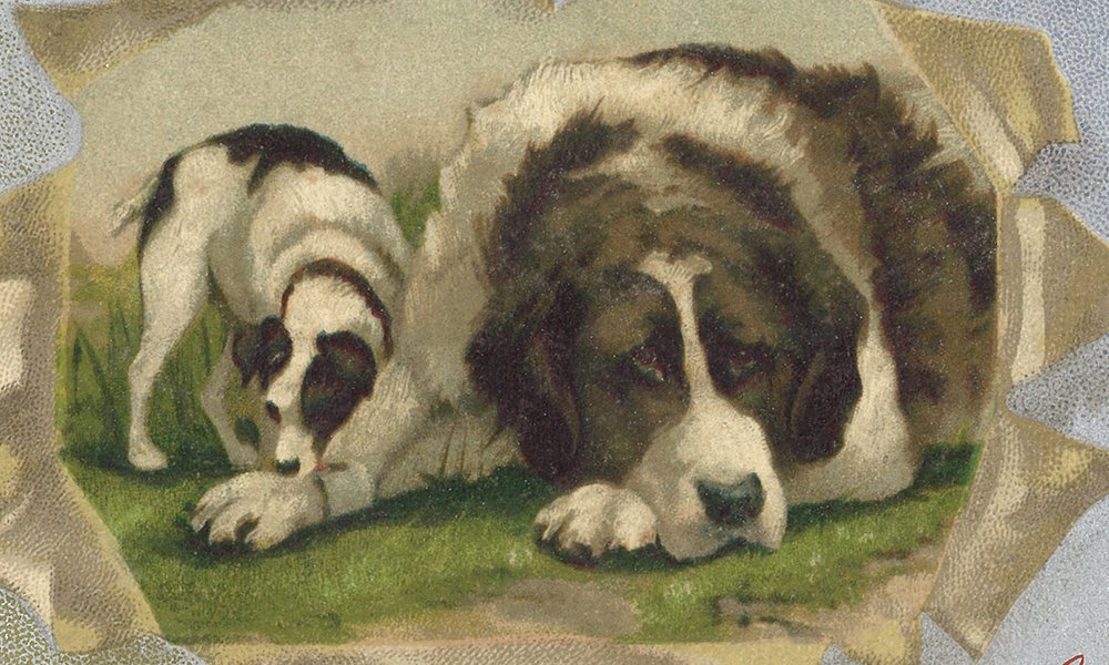Glucksman Spec Coll (@ul_speccoll) on Twitter photo Advent Calendar Day 3: A Christmas postcard (c.1910) featuring two dogs from the Allott Papers!
Check specialcollections.ul.ie/advent-calenda… each day for new images & subscribe to our blog! #AdventCalendar <a href="/ARAIreland/">ARA Ireland</a> <a href="/ULLibrary/">Glucksman Library</a> <a href="/UL/">University Of Limerick</a>🎄 Advent Calendar Day 3: A Christmas postcard (c.1910) featuring two dogs from the Allott Papers!
Check specialcollections.ul.ie/advent-calenda… each day for new images & subscribe to our blog! #AdventCalendar <a href="/ARAIreland/">ARA Ireland</a> <a href="/ULLibrary/">Glucksman Library</a> <a href="/UL/">University Of Limerick</a>🎄