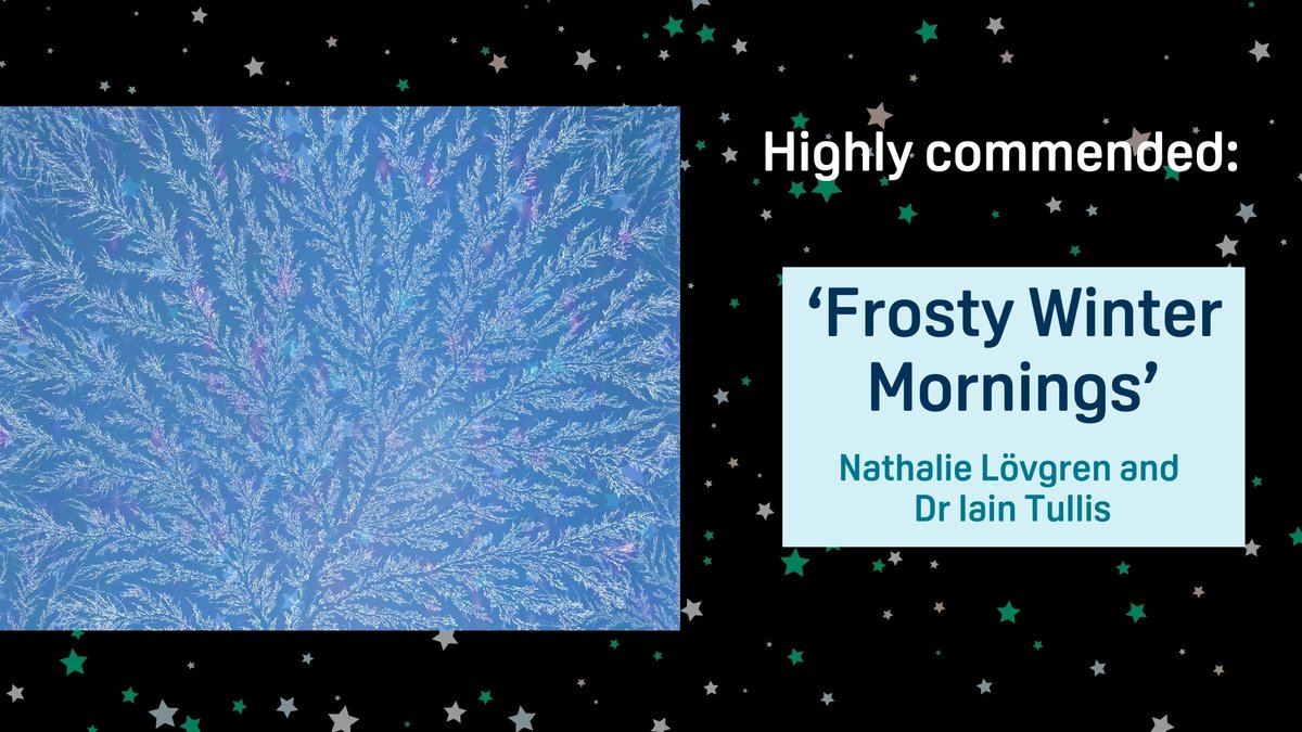 Medical Research Foundation (@medresfdn) on Twitter photo Congratulations to the winners of this year's Festive Science Image Competition, held alongside
<a href="/The_MRC/">Medical Research Council</a>!🎄
The 1st place image (Twinkling Toxoplasma) shows human skin cells infected with a parasite & illuminated using fluorescent dyes. ✨
Read more: bit.ly/3ZDCY67 Congratulations to the winners of this year's Festive Science Image Competition, held alongside
<a href="/The_MRC/">Medical Research Council</a>!🎄
The 1st place image (Twinkling Toxoplasma) shows human skin cells infected with a parasite & illuminated using fluorescent dyes. ✨
Read more: bit.ly/3ZDCY67