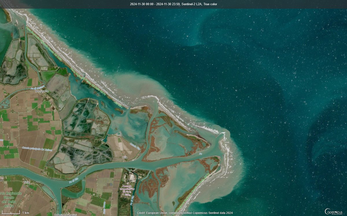 Muddy waters near the Po delta - but this is not coming from the rivers, which are still quite clear. It is sediment resuspension from wind. Take a closer look, this is a very dynamic image: link.dataspace.copernicus.eu/p3pt Sentinel-2 true color, 30-11-2024