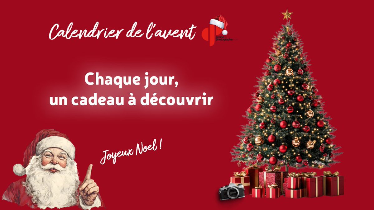 Graine de Photographe tweet media