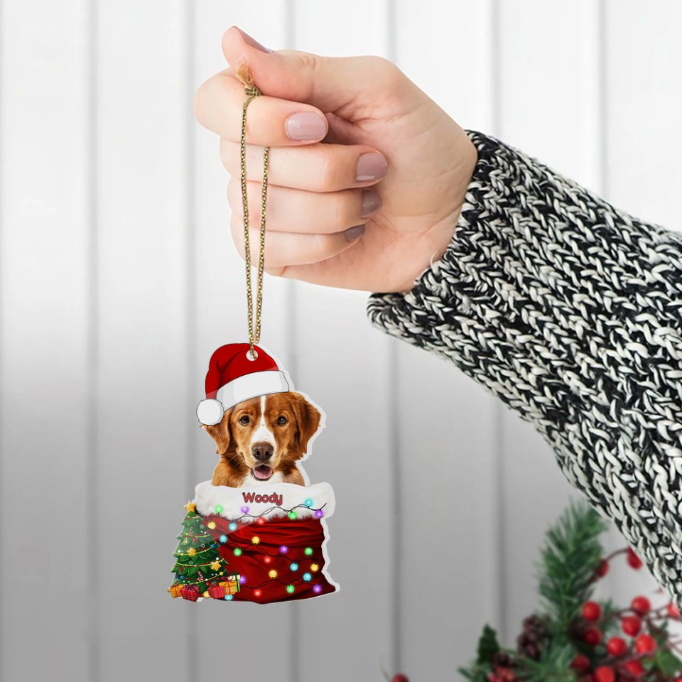 Loveable_decor's tweet photo. 🎄 Pet In The Santa's Pocket - Custom Acrylic Ornament

Celebrate your furry friend with our Custom Ornament! 🐾 Add a photo and name for a heartwarming keepsake and the perfect Christmas gift.

🛒 Buy now: https://t.co/tQSeQnL1wx

#PetLovers #ChristmasGift #PersonalizedOrnament https://t.co/7E8VqWisvd