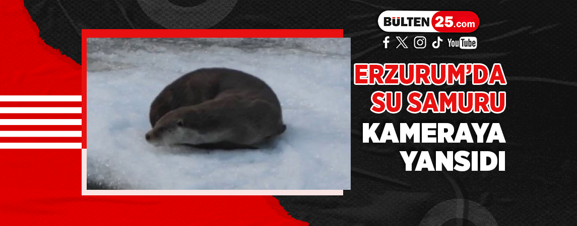 bulten25tv's tweet photo. ERZURUM’DA SU SAMURU KAMERAYA YANSIDI 
https://t.co/O4x2KgQ7xz
👆👆👆👆👆👆👆👆👆👆👆
#susamuru #ilginçhaber #erzurum #erzuurmhaber #bülten25 https://t.co/4r9Lj3CN4Z