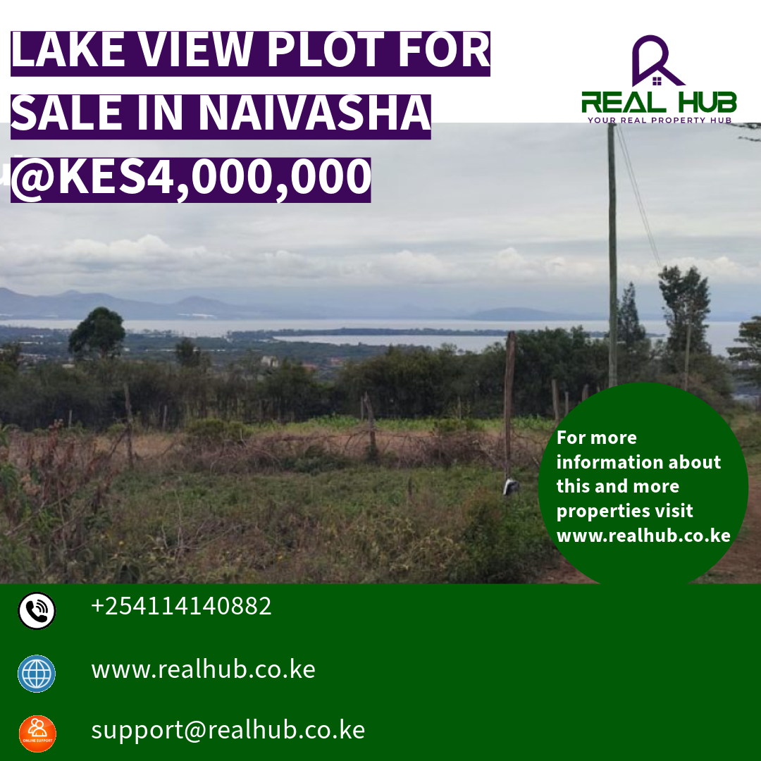 Realhubkenya's tweet photo. LAKE VIEW PLOT FOR SALE IN NAIVASHA @KES4,000,000
#landforsale #plotforsale wundanyi LGBTQ I&amp;M Bank Kizza Besigye #OccupyMOH Joho #KWSRangers2024 #YouthConvention2024KE #Garime https://t.co/Dfa6irdID6
