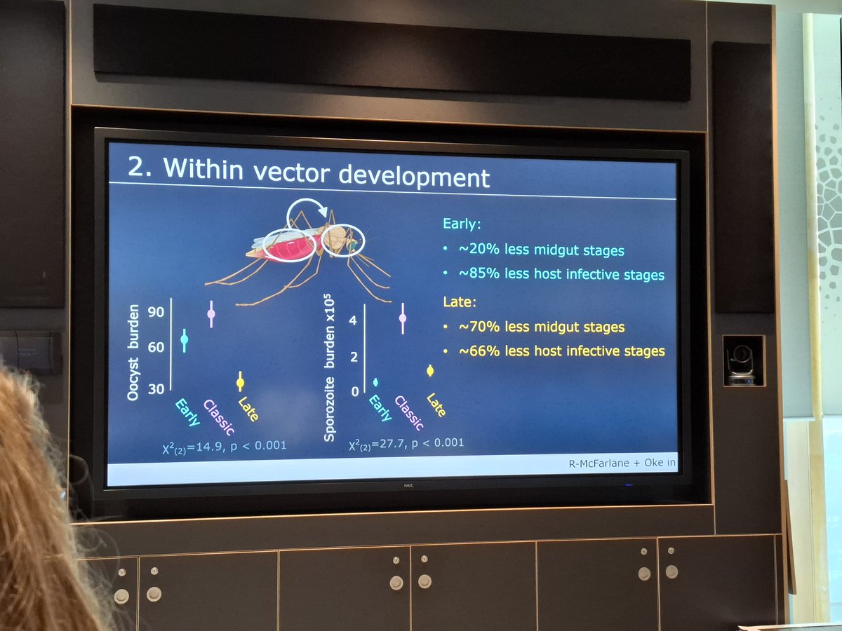 Corrado Minetti tweet media