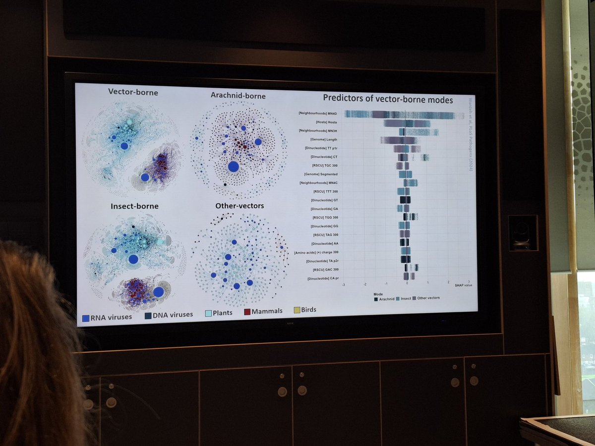 Corrado Minetti tweet media