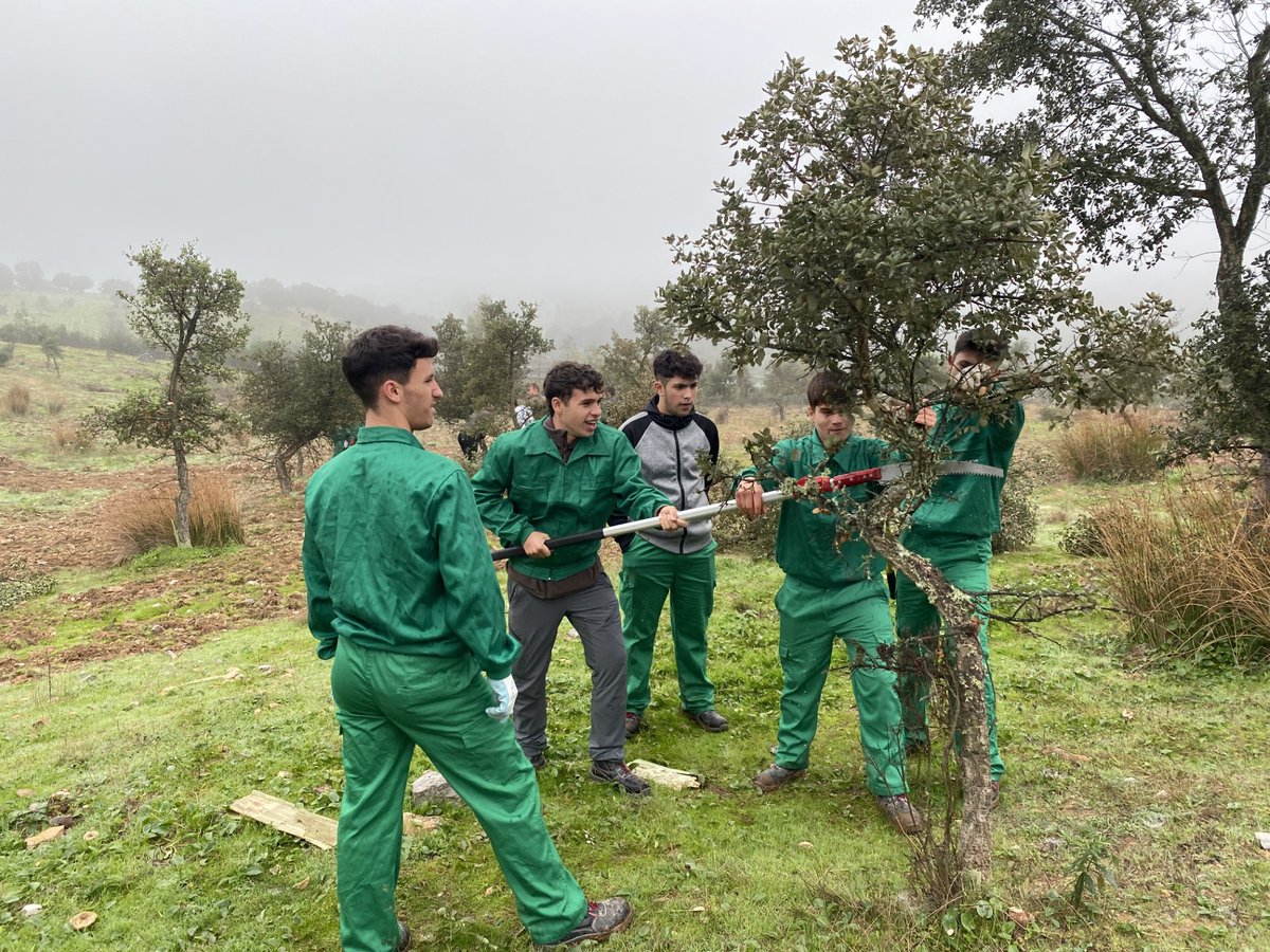 🙋‍♂️Hoy nuestros compañeros del Instituto del Corcho, la Madera y el Carbón Vegetal han impartido una jornada sobre la poda del alcornoque🪓🌳 dirigida a un grupo de alumnos del Instituto Castillo de Luna de Alburquerque <a href="/CastillodeLuna/">IES Castillo de Luna</a> 
👨‍🔬Un placer contribuir a su formación😊