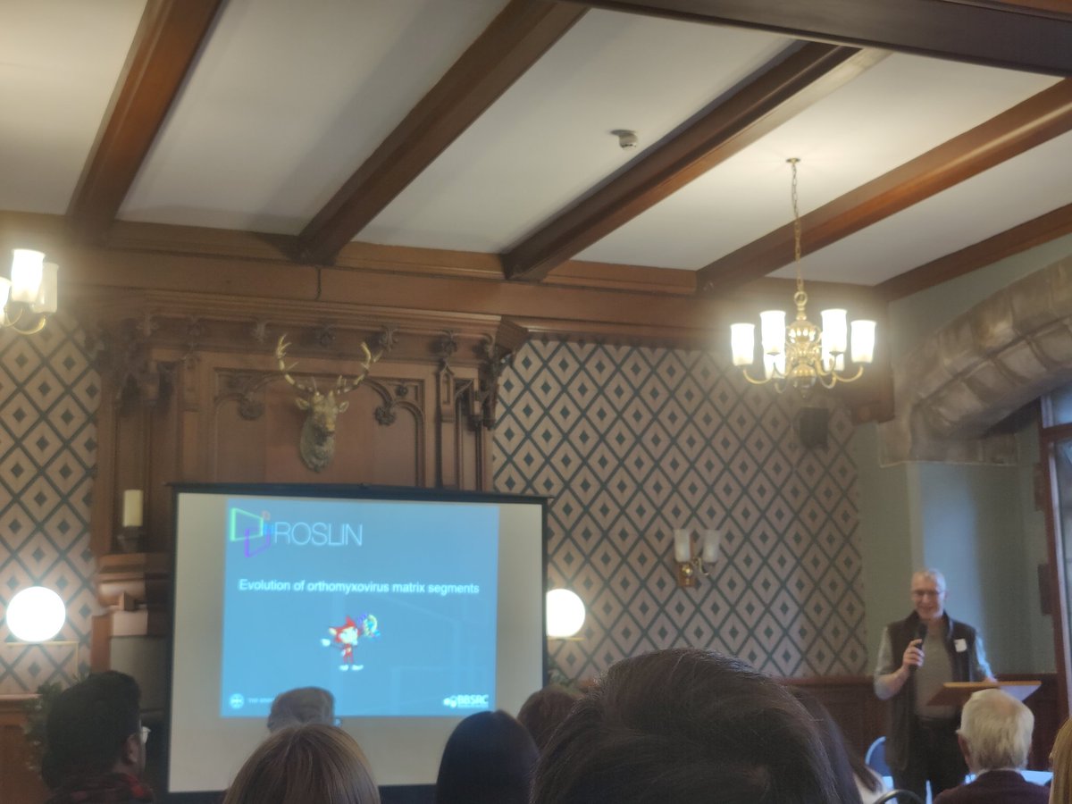 Federico De Angelis tweet media