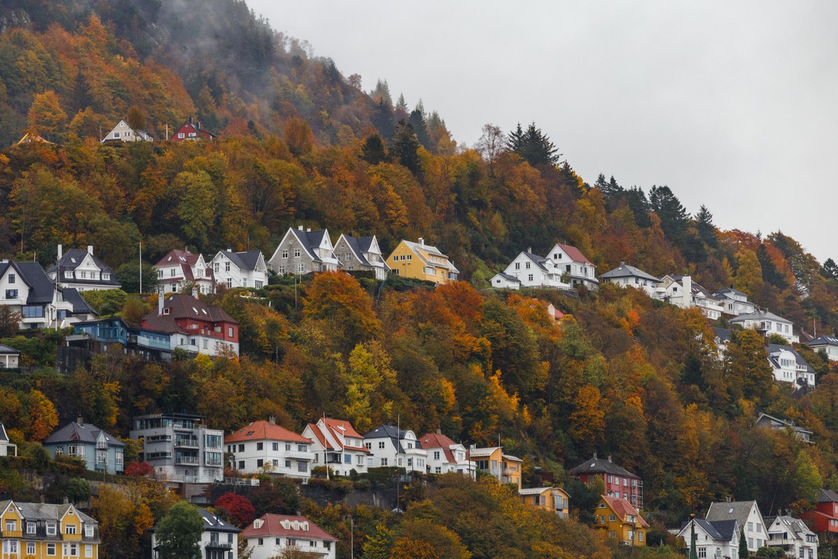 Autumn has passed, leaving us with winter’s chill. Thank you, autumn, for painting Bergen in such breathtaking colors. 🍂✨ 
Photo: Mathias Falcone