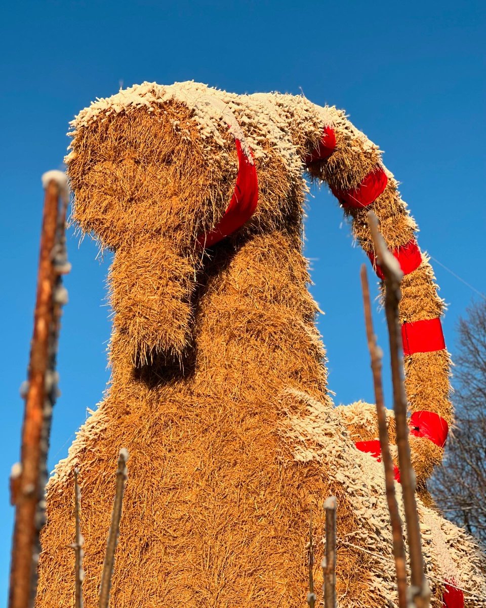 Gävlebocken tweet media