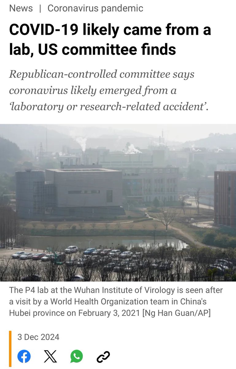 Dogtor🎰📈 tweet media